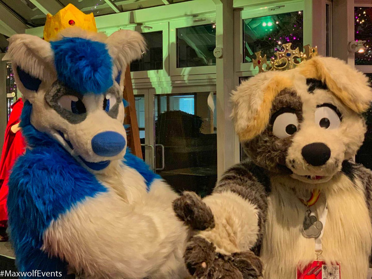 AirWoofy's tweet photo. Kneel before your new kings! 🐺👑#maxwolfEvents #fursuit #furryfandom 
With @Zyro_Dragon

📸 @FoxCouncil https://t.co/cJkBIuLSPd