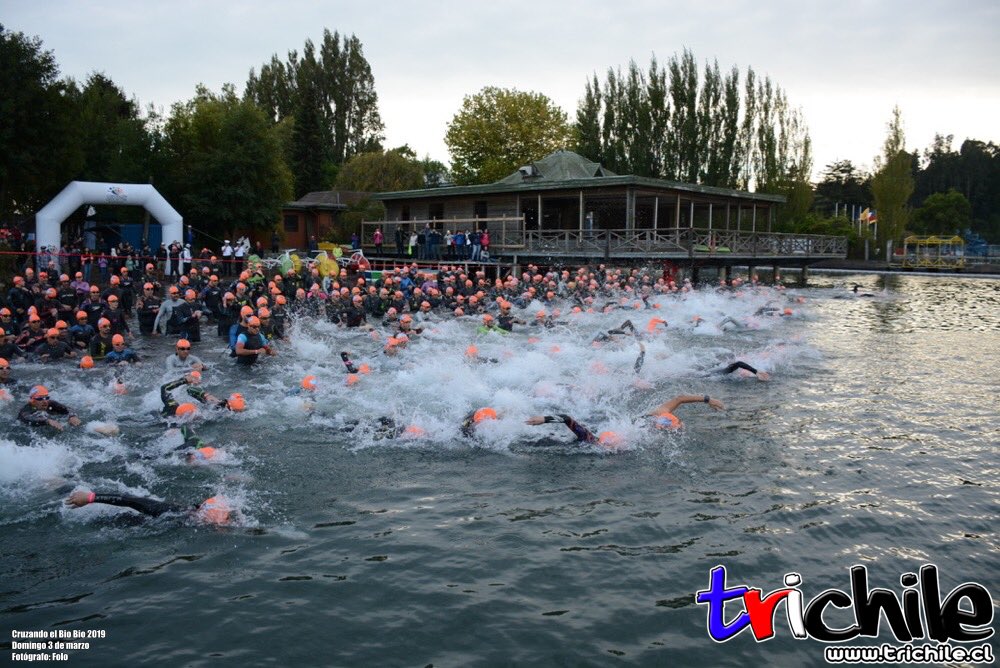 Trichile's tweet photo. Cruzando el Bio Bio tuvo su 6ta edición a lo grande
Todas las fotos, videos y resultados
⚡ https://t.co/0w99VpF0pM
#TrichileNews #CruzandoelBioBio #CoberturaTrichile #Triatlon #Concepcion #SanPedrodelaPaz #MoisesTorres https://t.co/00ypGlAdv1