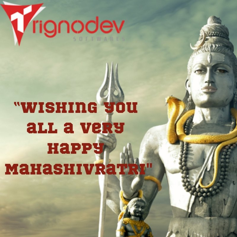 Trignodev Softwares tweet media