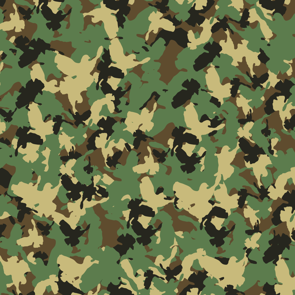 alexanderklar's tweet photo. Flecktarn Frieden https://t.co/hZgDu0JJcp https://t.co/MvBZNta49j