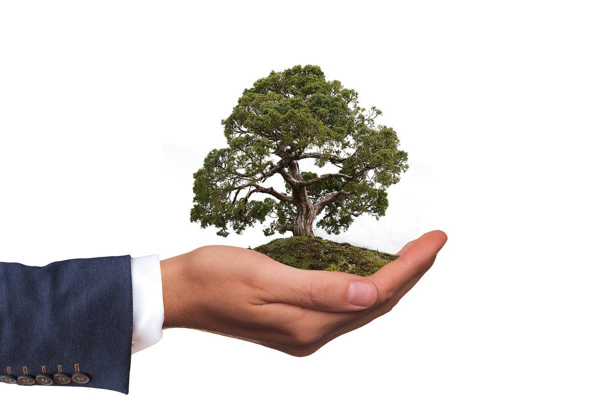 TranspiroPtyLtd's tweet photo. Read this to learn about the 5 natural processes that are used to detect harmful chemicals in the #environment. #Greentech. https://t.co/7jjms6fzRI https://t.co/7V9g4bSohL