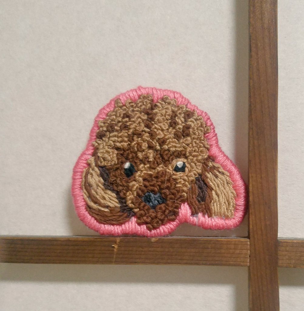 handstitchman's tweet photo. 뽀글뽀글 푸들 https://t.co/9ItugwQWlk