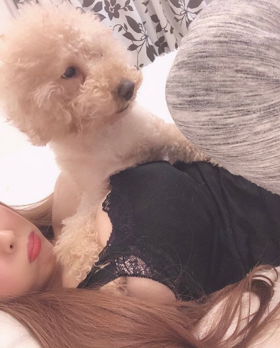 乗っかるふわふわ君 https://t.co/4o87f2YfYU