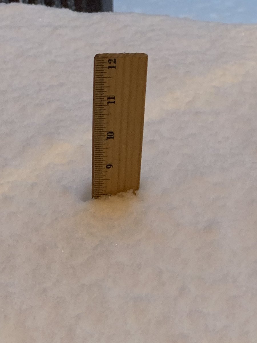 ginalaroche's tweet photo. 8“ on my front step. #MAsnow #snowday @DanielleWBZ4 @7Stones https://t.co/hqCLCf8Rmw