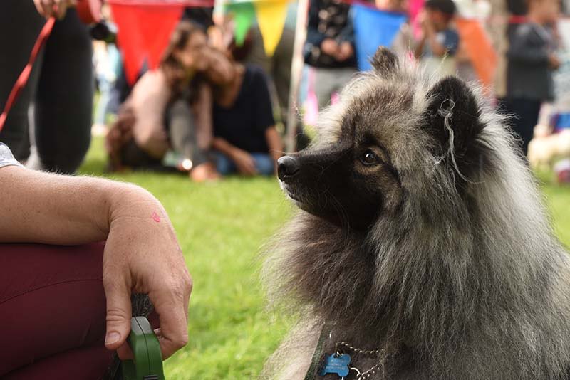 EstablishAgency's tweet image. We’re thrilled to be supporting @SolihullFITP this year. A fun day for the family where all profits are donated to 3 local charities #lovesolihull