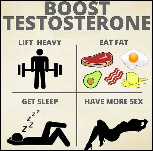 Testogen_'s tweet image. Simple tips that will take u straight to gainsville 😋👌 

#testogen #testogenreviews #fitness #gym #bodybuilding #diet #concentration #boost #testosterone #energy #lift #eat #sleep #sex #gains 

bit.ly/2DIlBJ0