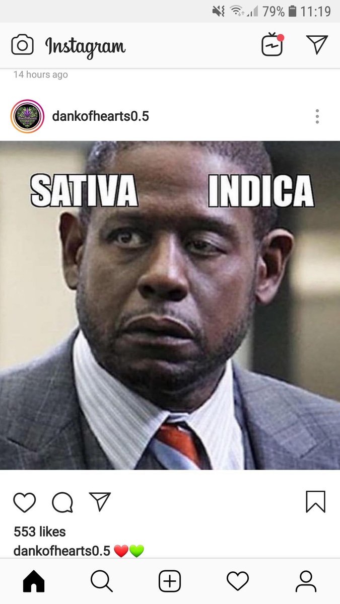 CannaCritics's tweet photo. One of the most accurate memes you'll find 😂
#StonerFam #sativa #indica https://t.co/RHFnc6xEfB
