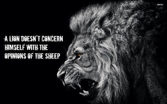 adamu_eze's tweet image. Heart of a Lion