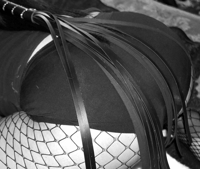 The Immortal Ivy! https://t.co/FNurR5msNA