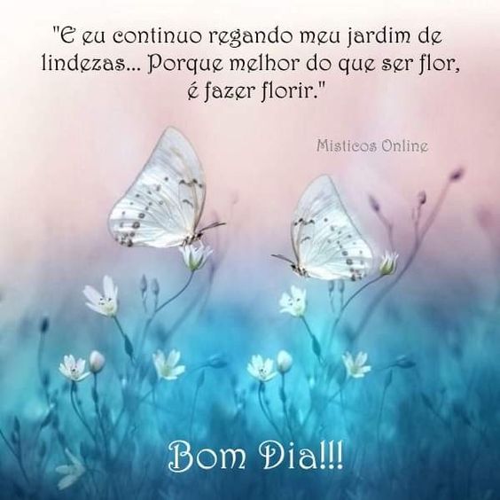 Místicos Online - #misticosonline #misticos #tarotonline #bomdia