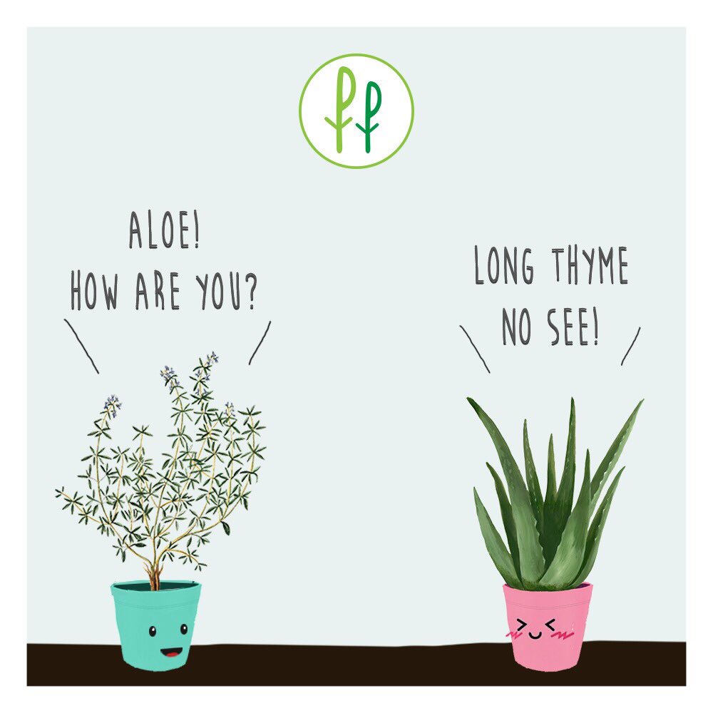 PlantTweeple's tweet photo. Because even plants like to greet each other!
#PlantPeople #plantlove #plantfun #plantmeme #aloevera #thyme #planttalk #plantlove #plantlovers #cartoons #comics #funnymemes #memelove #plantgifts #mondaymood #theweekbegins #planthoardersunite #plantsmakemehappy #plantsforall https://t.co/rMu7NxhrEN