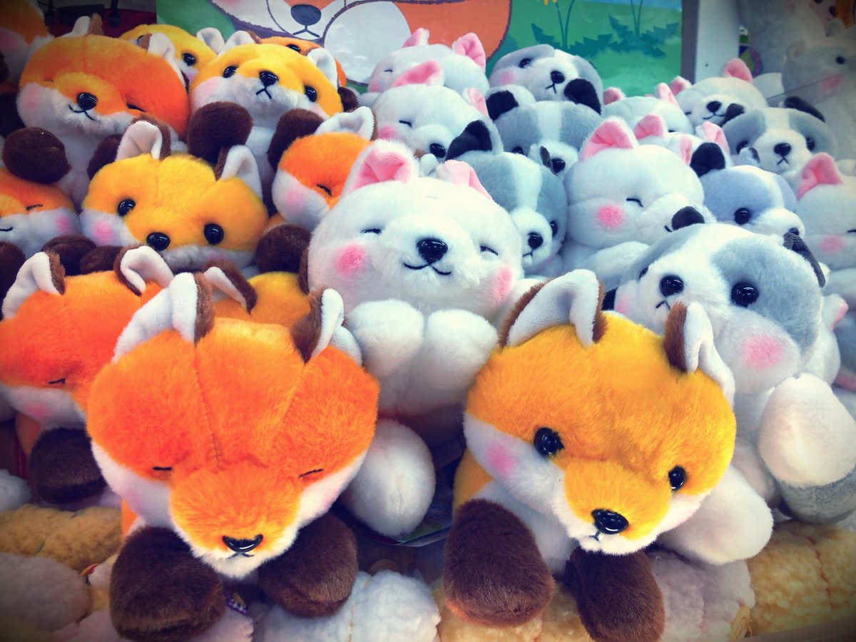 子ぎつねこんこん