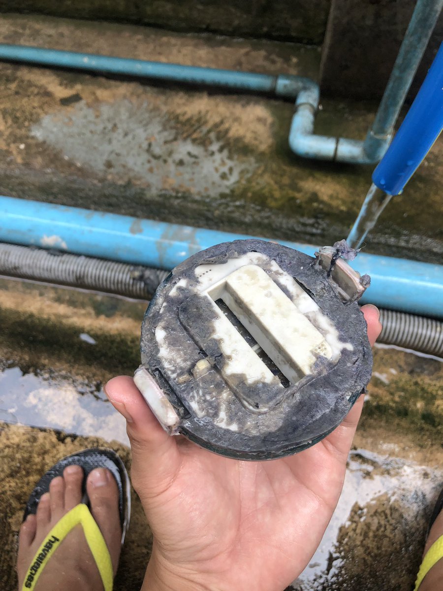 bg2272541's tweet image. คือนี่ดีไงที่หอมีก๊อกน้ำข้างเครื่องซักผ้า เลยเอาออกมาล้างได้ง่ายๆ แต่ก็อิ้วพอสมควร ใครซักมาแล้วบ้างวะ คือเลี่ยงไม่ได้ไง อยู่หอ เวลาซักก็ไม่มี แนะนำให้ล้างตัวกรองก่อนซักของเราก็พอ -(2)