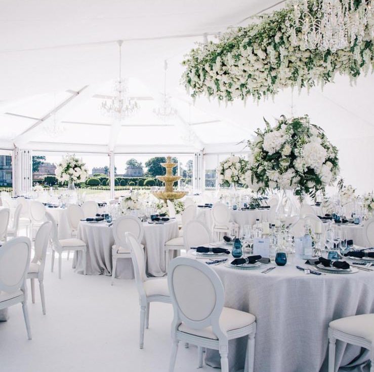 White-Lilac tweet media