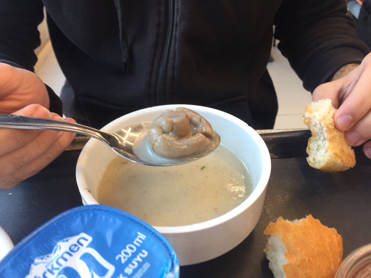 Üniversitemizin meşhur mantar çorbası