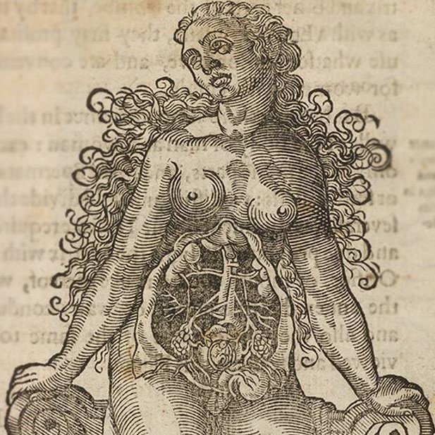 Today 2-3pm: Delve into our amazing 17th to 19th Century Midwifery archive. Our Collection Encounter will explore the birth of medical midwifery through detailed drawings and accounts from our historic collections. Free, no need to book. #jrlWomen man.ac.uk/Uq4O6U