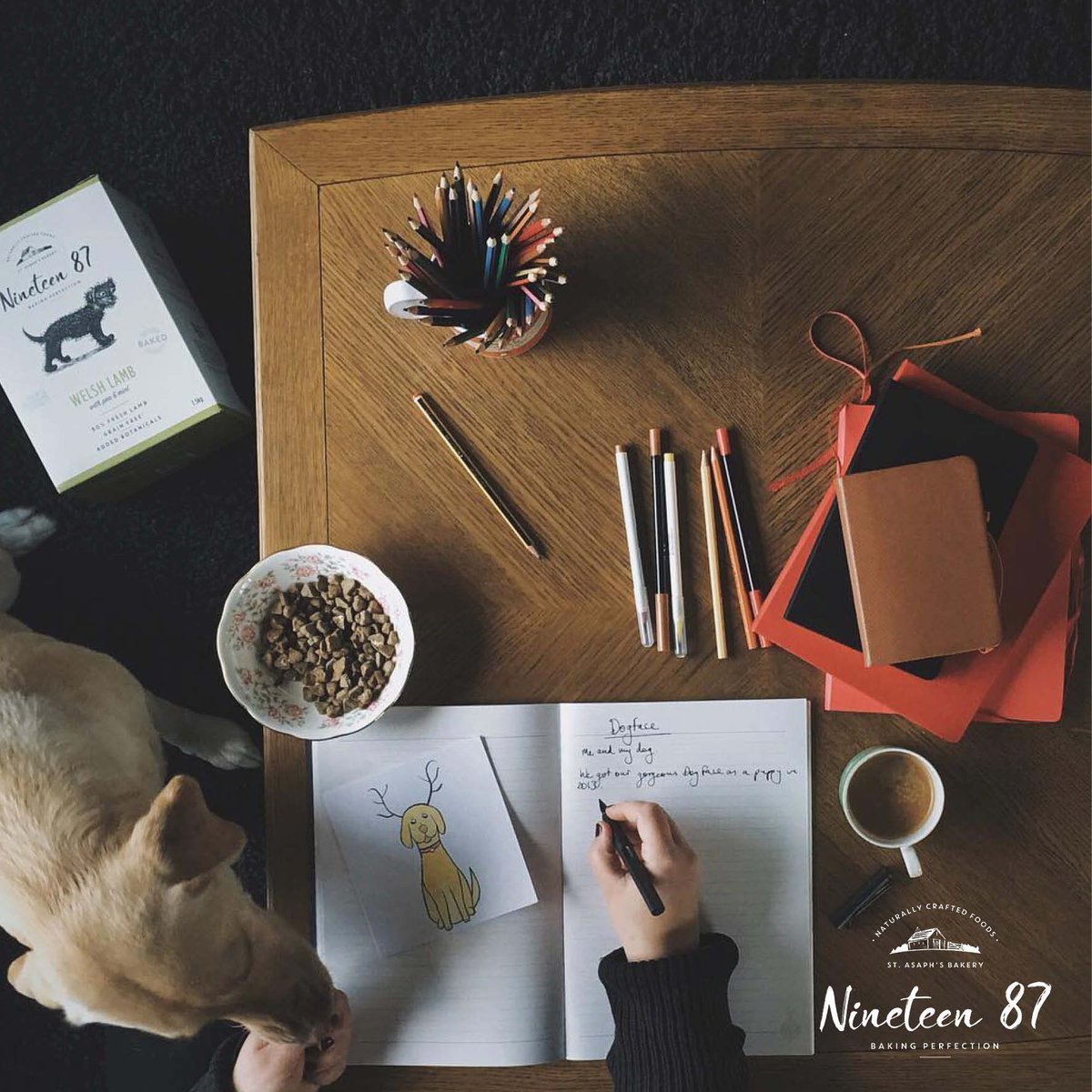 nineteen87pets's tweet photo. Who needs a distraction from Monday morning? RETWEET this post for your chance to win your dog a box of Nineteen 87 baked food! π #mondaymorning #nineteen87 #bakedisbest #dogfood https://t.co/QhdxOCid0W
