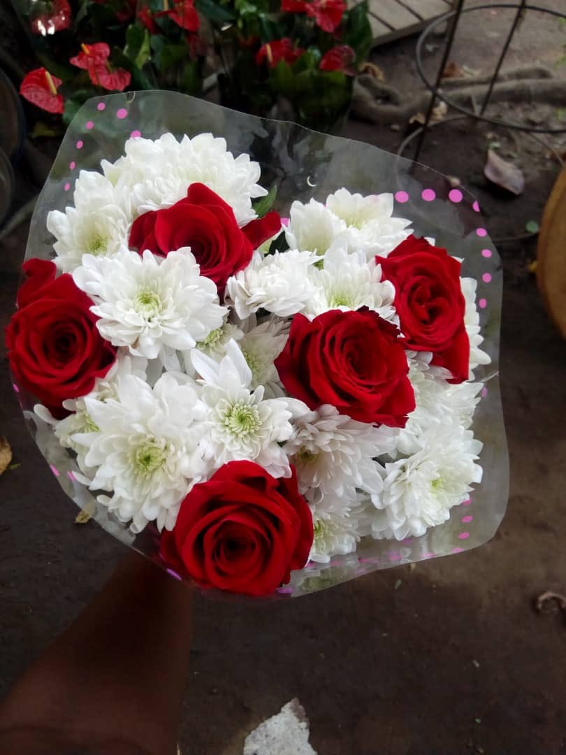 thegiftplug's tweet photo. Thanks to everyone who reached out during our little break!  We’re back to work and ready to take your orders. 

 Which arrangement do you prefer,  roses and gypso or roses and chrysanthemums? #ThegiftPlug https://t.co/FDUePU7KC4