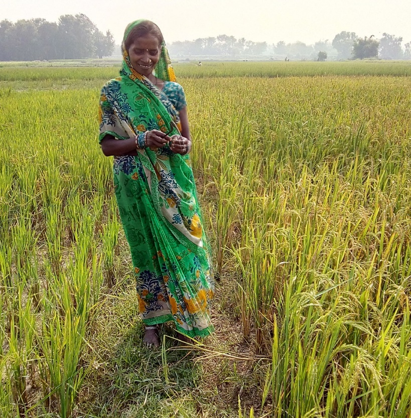 irri's tweet photo. Can one woman manage a large household, earn income, and tend a field especially after an intense flood? Yes, she can. Learn about Mrs. Devi’s story https://t.co/k6cWzK3Tjj #RiseWithHer #WomensDay #IWD2019 #STRASA https://t.co/5frBdjs2MM