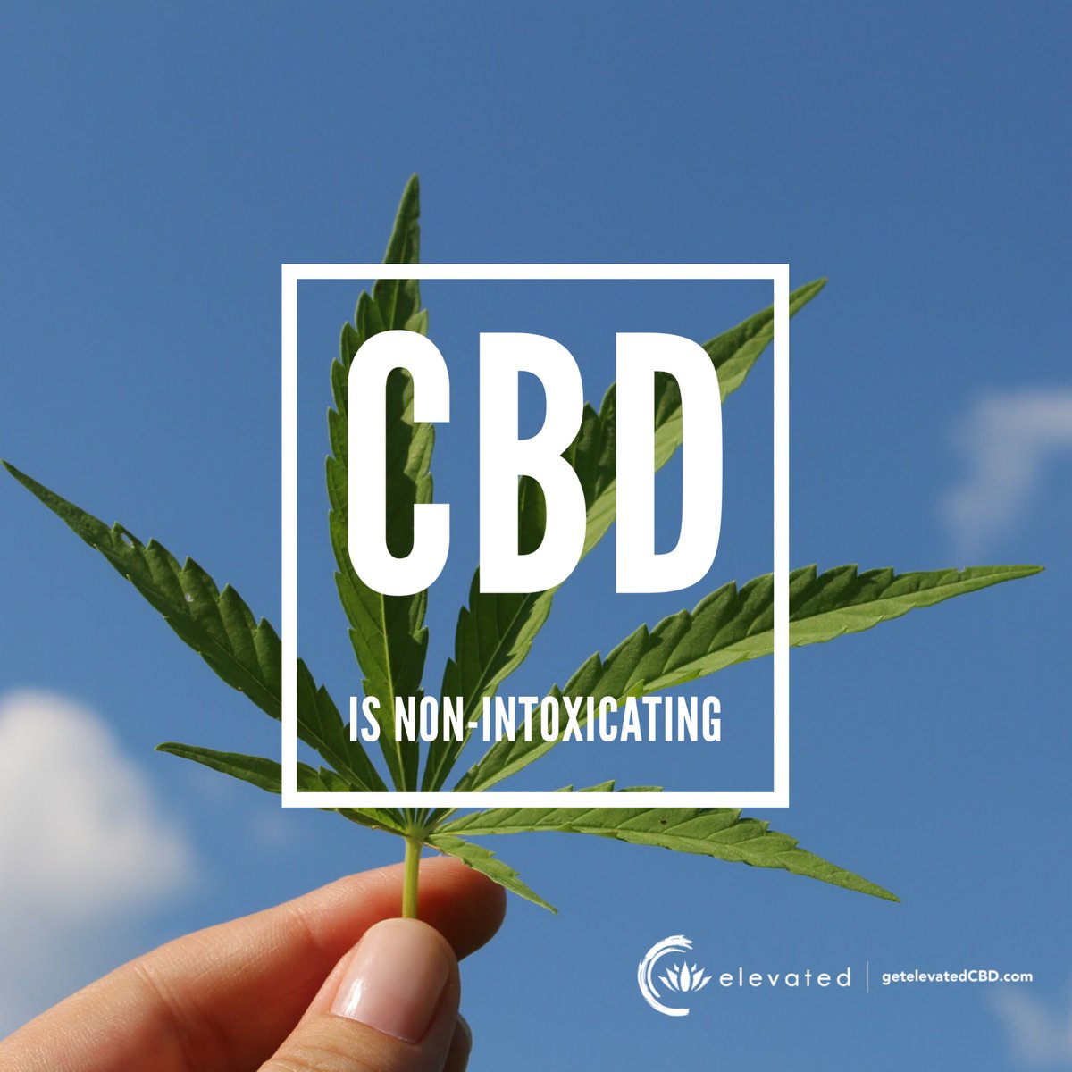 CBD is non-intoxicating ✌️