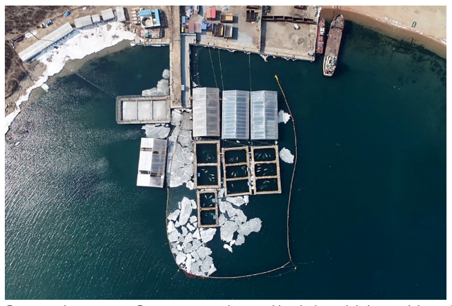 Environmental organisations, with the help of high-profile activists like Leonardo DiCaprio and Pamela Anderson, have spent months campaigning for the release of the whales kept in cramped pools near Nakhodka, Russia: science-andinfo.blogspot.com/2019/03/russia…