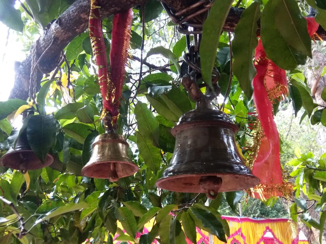 sanjayubach's tweet photo. ॐ ଶ��ରୀ ଶ୍ରୀ ବାବା ଚନ୍ଦ୍ରଶେଖରାୟ ନମଃ🙏
#महाशिवरात्रि #HarHarMahadev #MahaShivratri  #ଜାଗର #ମହାଶିବରାତ୍ରି
from #Bodapalasha #Kendujhar #Odisha https://t.co/QRjHyZYbgF