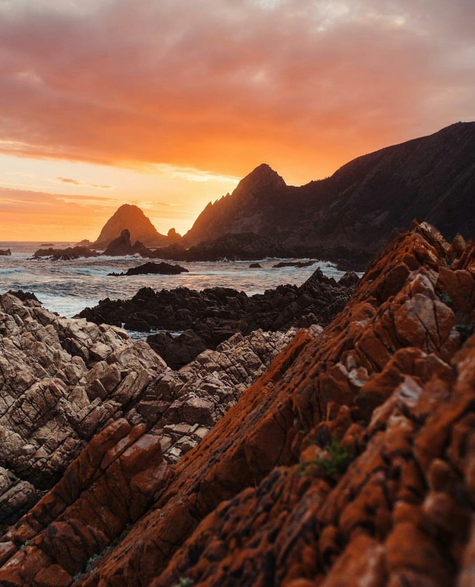 Plett_Tourism's tweet image. These magic moments...
📸 @jacques_crafford // #plettitsafeeling