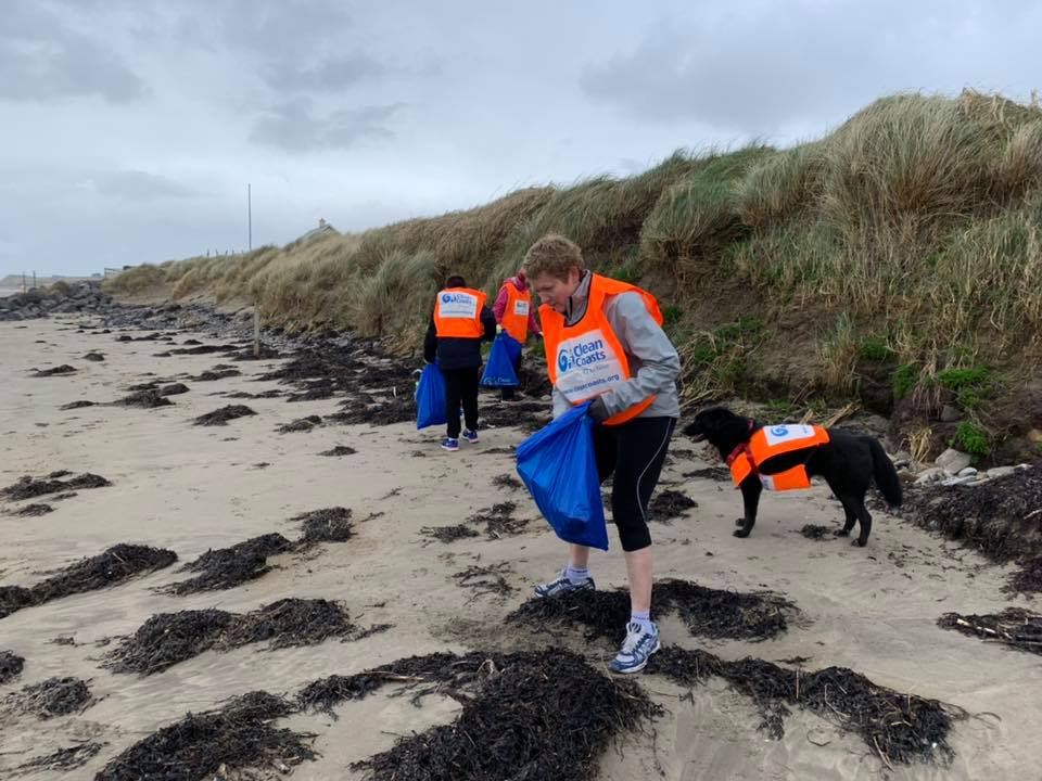 CleanCoasts's tweet photo. Friends Of Rossnowlagh Beach had a #BigDonegalCleanup yesterday atRossnowlagh beach. Great job and thanks to all the furry friends who helped too!
#Ireland #marinelitter #cleancoasts https://t.co/i5LAFolSEo