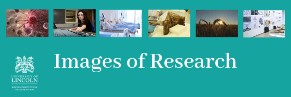 Lincoln_IAS's tweet photo. Enter our 2019 Images of Research Competition for staff today.

Find out more and submit your entry at: https://t.co/t5hq6EgKO8

#LIAS #Images2019 #research  @HARTResearch @LIATLincoln @UniLincolnPEARL @PsychLincoln @UoLChemistry @UoLPharm @UoLEngineering @LincolnEnglish https://t.co/F00xBy4jHB