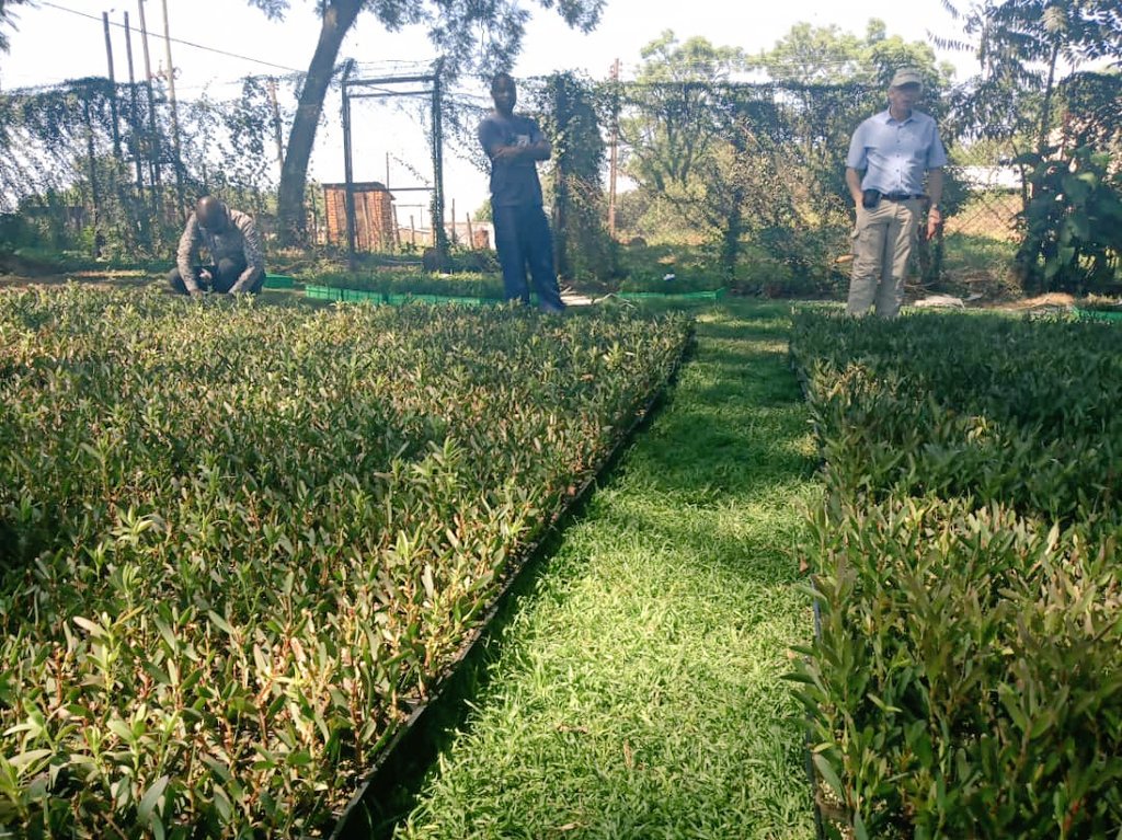 ZimTradeAlerts's tweet photo. The Model Farm project is kicking off. @PUM_nl is establishing model farms in #Zim where best practice horticulture &amp; logistics methods will be demonstrated. @ZimTradeAlerts @PUM_nl @iloharare @NLinZimbabwe are on familiarisation tours at the various farms chosen for this project https://t.co/0nPjS3xX7Q
