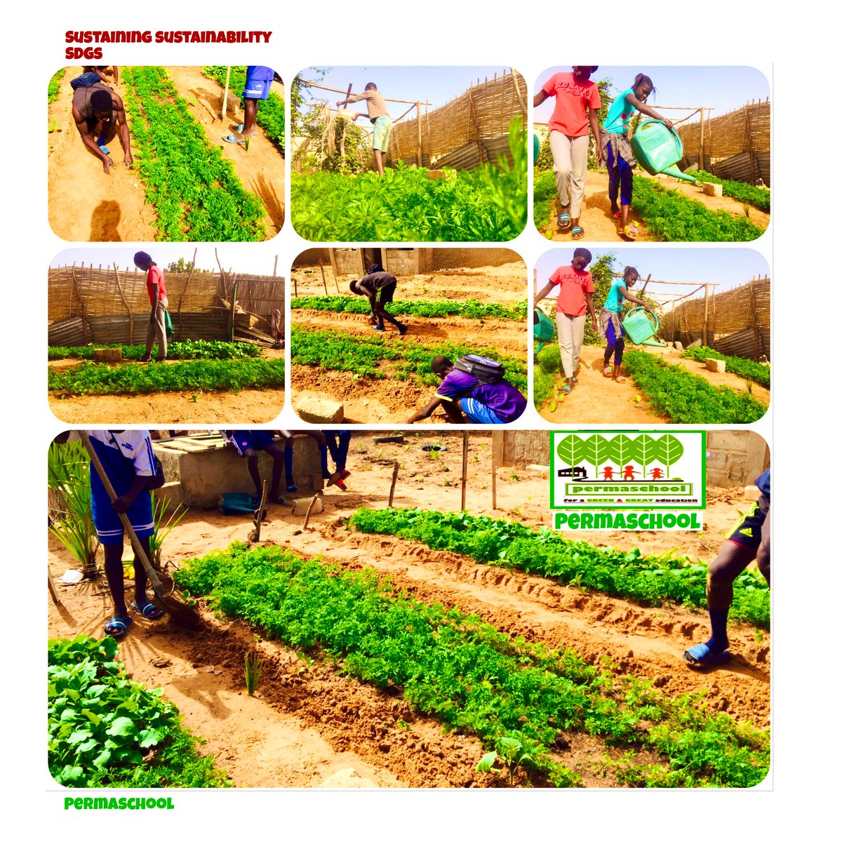 cham oumar 🇸🇳♻️🌱💡 tweet media