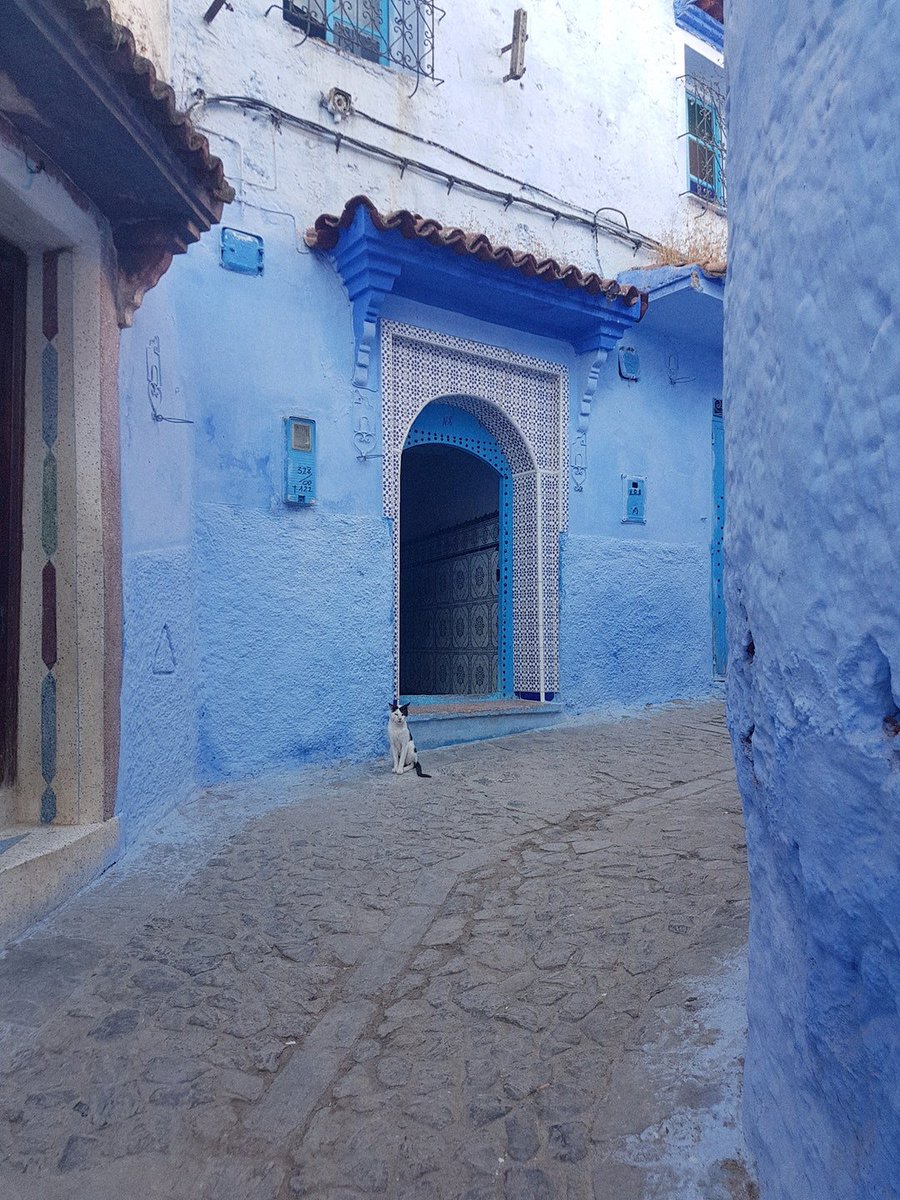 Got some Monday blues? Imagine another place and work to get there. Where would you rather be? A stroll through the streets of Jodhpur sipping on a gin and tonic? 💙
-
Photo by: @mohammedlak