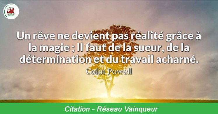 Reseau Vainqueur Reseauvainqueu1 Twitter Reseau Vainqueur Reseauvainqueu1 Twitter