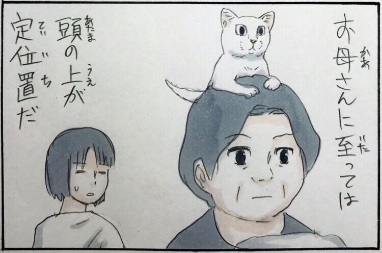 『登る猫』 