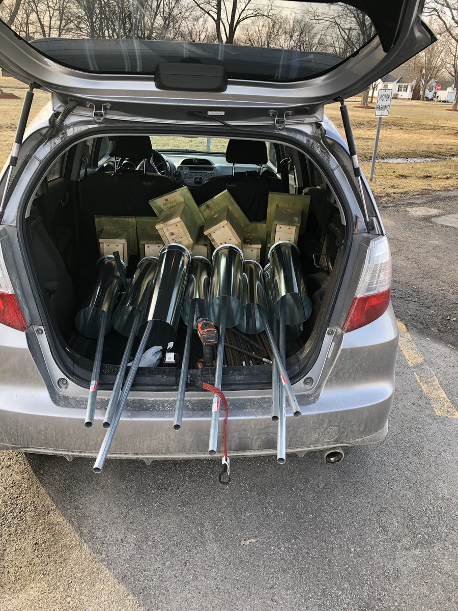 HubbardBirdLab's tweet photo. Keep an eye out...@MelissaBailey_7 and @JoeyKHubbard just deployed 12 #nestboxes around the Kirksville R-III campus. Hope the #bluebirds find them fast. @TrumanState https://t.co/y43ZTrNx2U