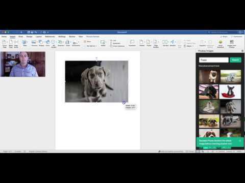 DocKatniss's tweet image. Pixabay Add-in for Word - A Quick Way to Add Images to Documents ift.tt/2HtVt7o #edchat #education #STEM #eparenting #teachers