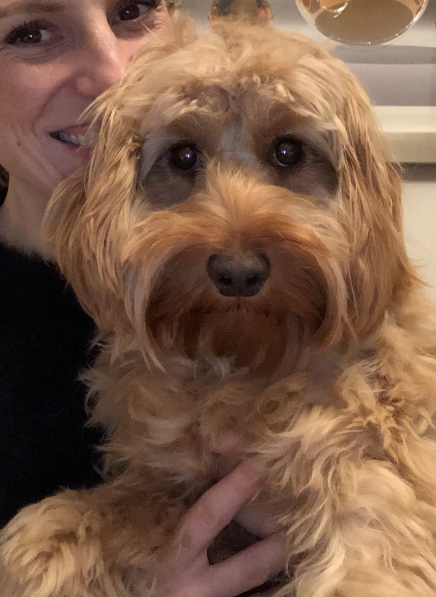 K8whittle77's tweet image. This face ❤️ Distraction therapy and a much needed break from assignment writing. #MScLife #qualityandpatientsafety #annualleaveusedwisely #mummysgirl