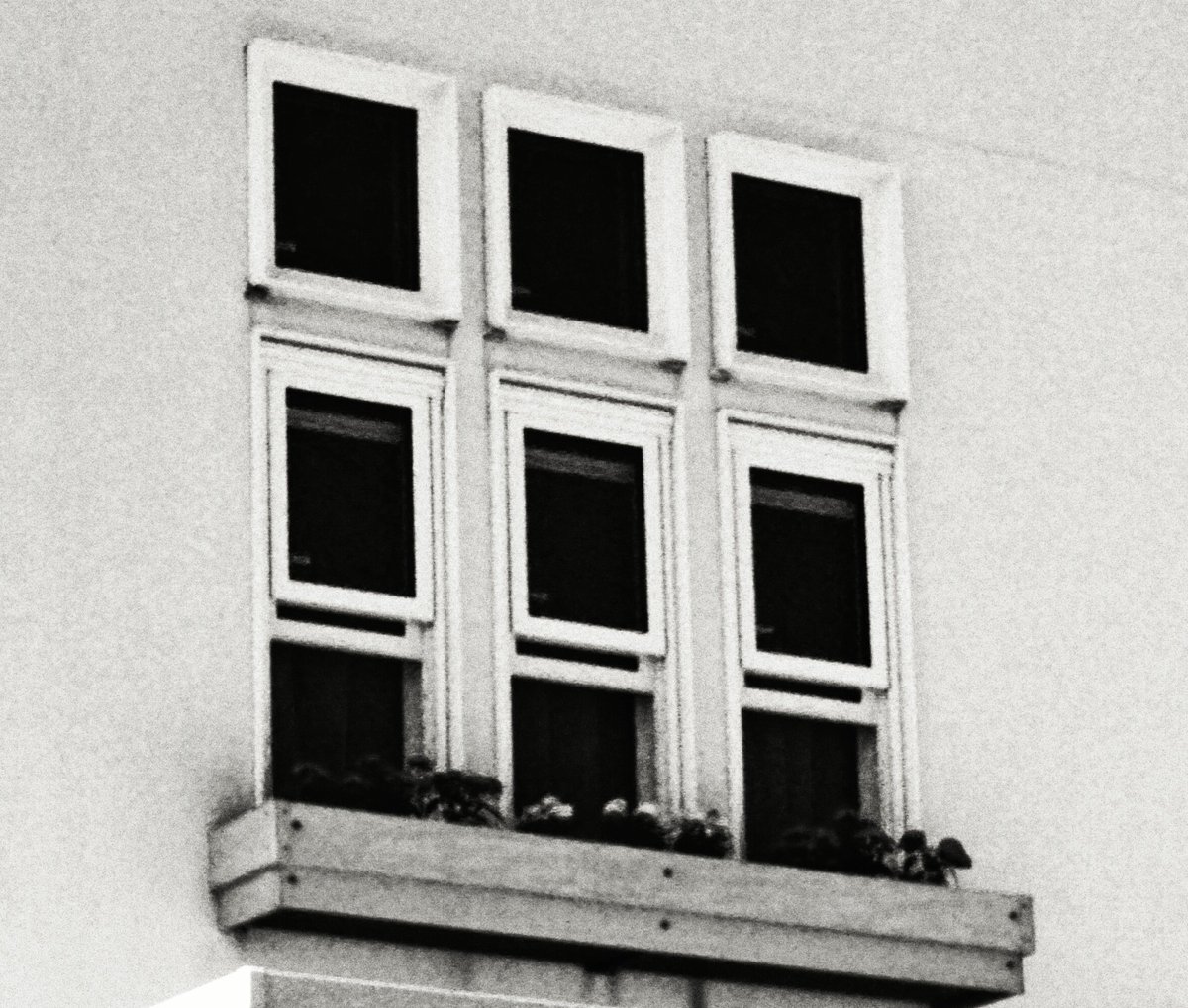 YoshidaSoem's tweet photo. 「裏窓」
#ファインダー越しの私の世界 #photography #backwindow https://t.co/c7QNUi92R6