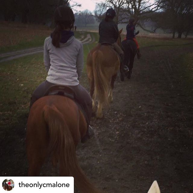 CSRidingClub's tweet photo. Posted @withrepost • @theonlycmalone All four seasons in one day! Hacking out in Richmond park on St Paddies day! 🐴 .
.
.
.
#horsesofinstagram #equestrian #richmond #richmondpark #operationcentaur #CSRC #civilserviceridingclub #london #country #british https://t.co/BeWewf0xvH https://t.co/3FSW2FlgRk