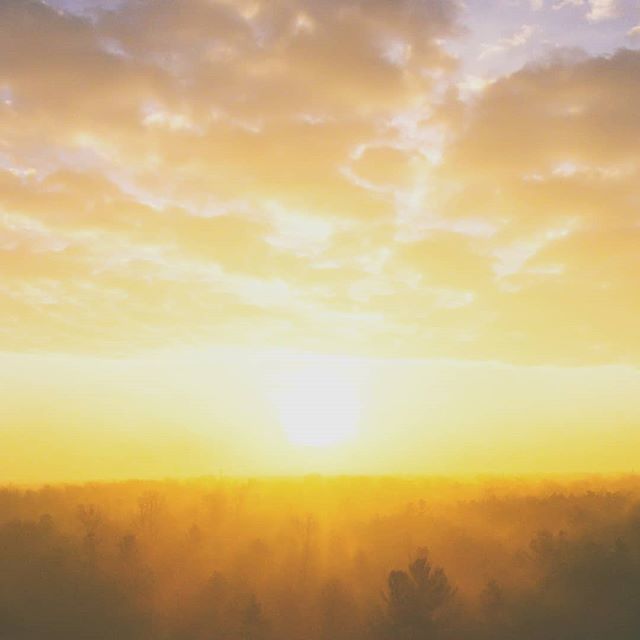 NaturallyNoFoot's tweet photo. It is officially Spring tomorrow! 🌻 We're all so happy.  A new season about to burst into new life in the great Outdoors. 🌻 We want to be out there of course, in our beautiful fresh air. So let's make the most of it.⁣ Spring makes its arrival tomorro… https://t.co/sSc1jTKfwp https://t.co/aeQ0IWcrAl