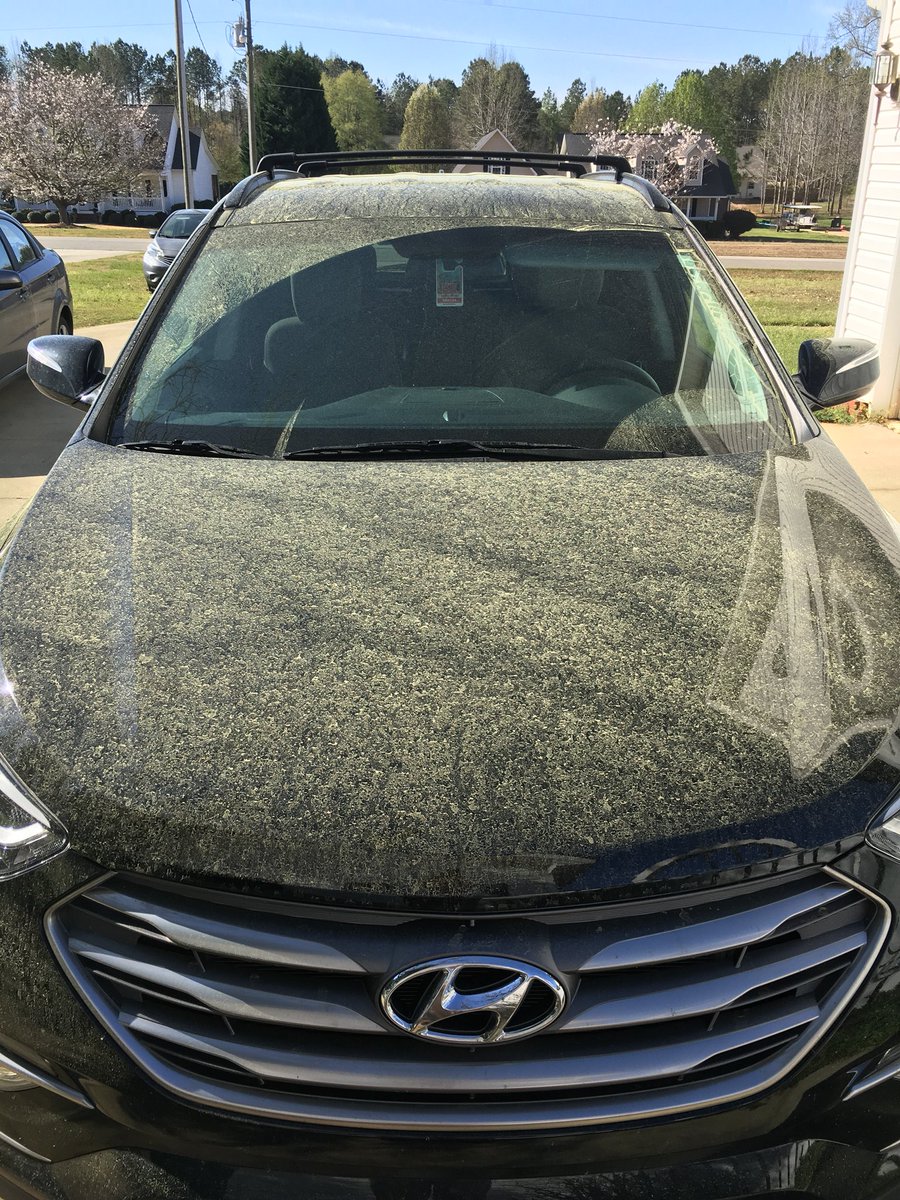 BODonnellinGray's tweet photo. Memo to trees: You can stop spreading your seed all over Jones County now if that’s OK. https://t.co/rpUzv7piPn