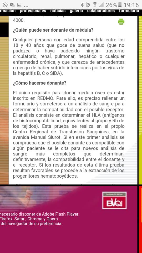 bezares24 tweet picture