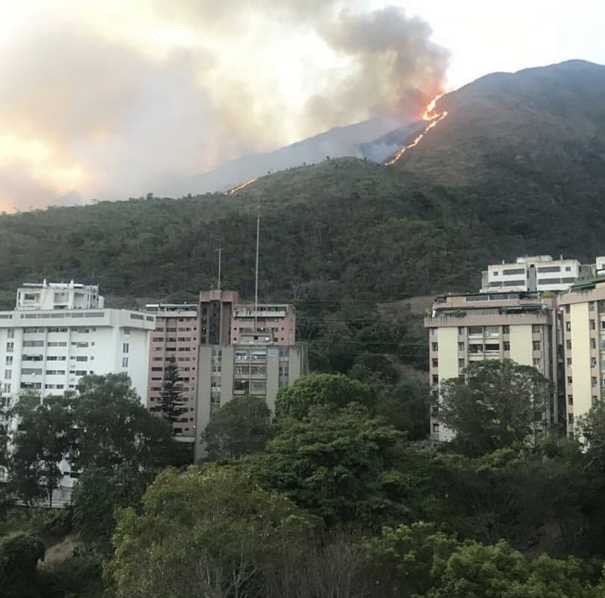 EVTVMiami's tweet photo. #Ahora Reportan fuerte incendio en el cerro El Avila. Foto: Cortesía #NoticiasEVTV #18Mar https://t.co/d7q3ZR2pz2