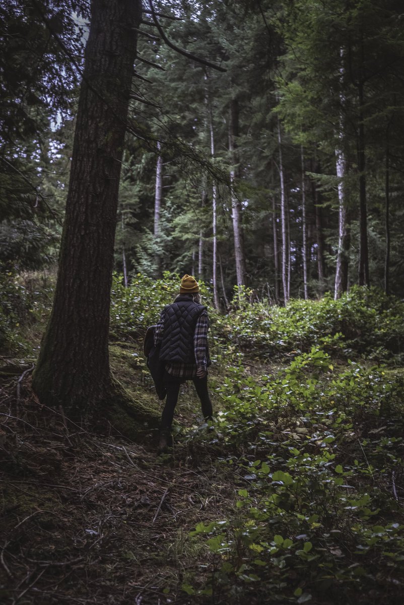 Mondays can be tough but nature constantly offers us simple pleasures to love. Today, try to find a moment in your day to hang out where the green things grow. 
📷: <a href="/brycebyrnes/">Bryce Byrnes</a>
#lovethewild #fromnaturefornature #leaveitbetter #mondaymotivation