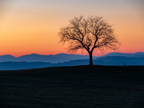 snapgle's tweet photo. "colors of spring" by Fabian Hüsser is a trending photo on #Snapgle! https://t.co/vut0GXGzlq https://t.co/jGnUis4JAG