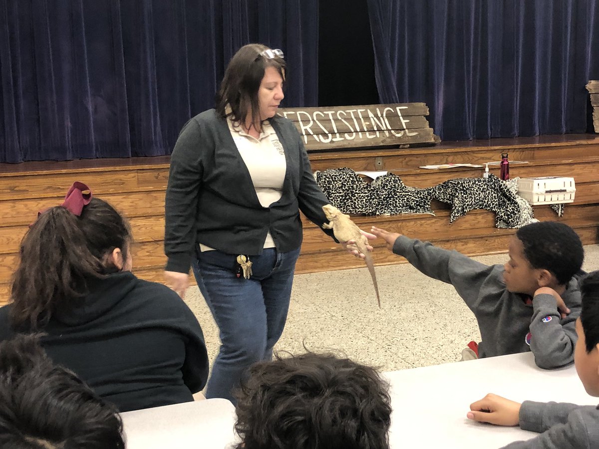KariDierks's tweet photo. The animal whisperer, Ana visited @smithacad today and discussed traits and adaptations! Awesome opportunity for our students. We are lucky 🍀 to learn from this expert this year. 🐍 🦎 🕷 #scienceisalive #5thgrademagic https://t.co/5Lae3FSMcF