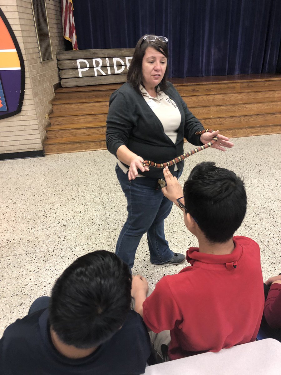 KariDierks's tweet photo. The animal whisperer, Ana visited @smithacad today and discussed traits and adaptations! Awesome opportunity for our students. We are lucky 🍀 to learn from this expert this year. 🐍 🦎 🕷 #scienceisalive #5thgrademagic https://t.co/5Lae3FSMcF