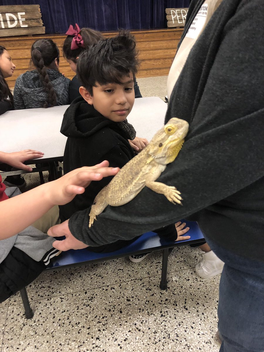 KariDierks's tweet photo. The animal whisperer, Ana visited @smithacad today and discussed traits and adaptations! Awesome opportunity for our students. We are lucky 🍀 to learn from this expert this year. 🐍 🦎 🕷 #scienceisalive #5thgrademagic https://t.co/5Lae3FSMcF
