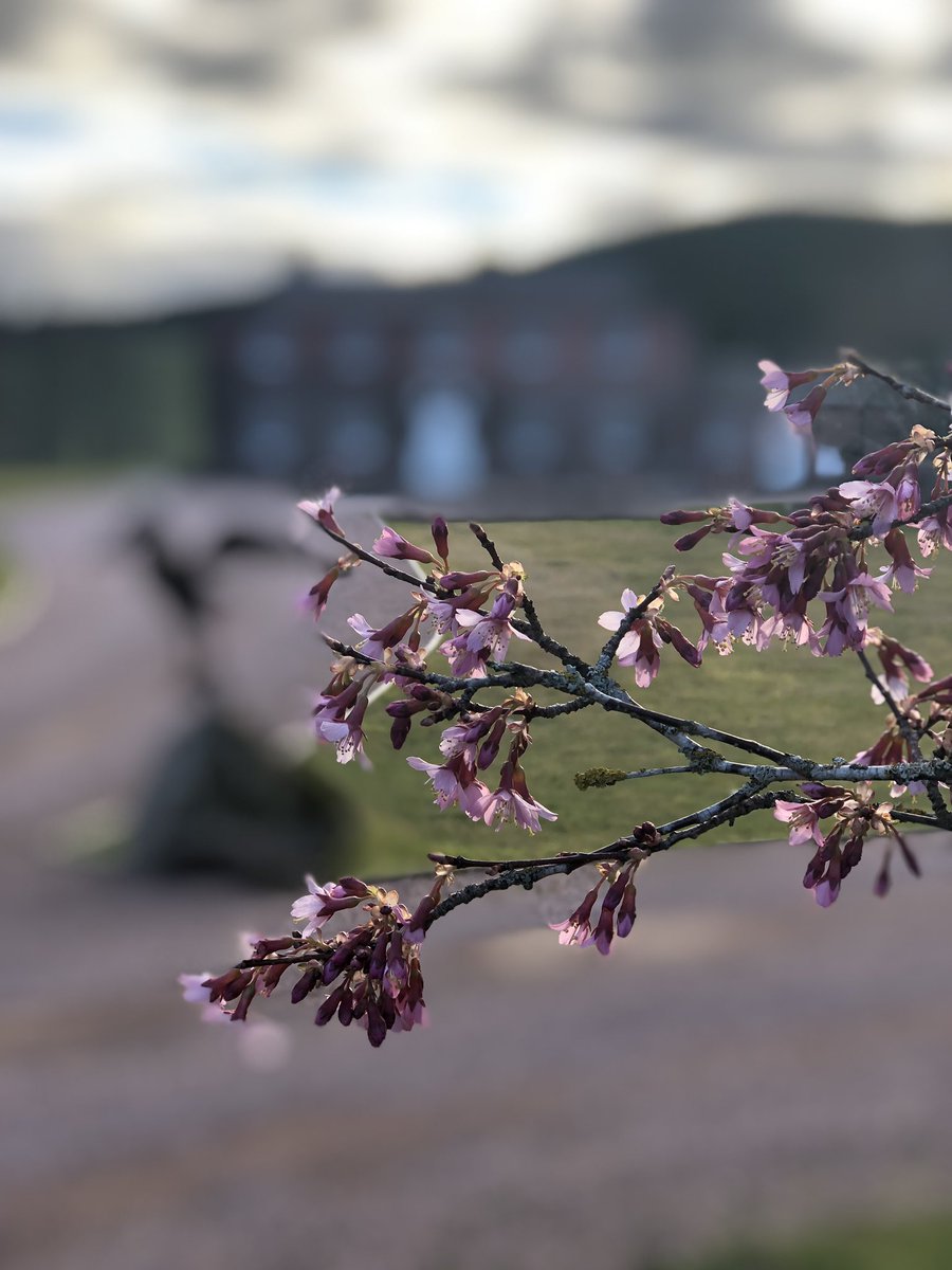 Ballogie House tweet media