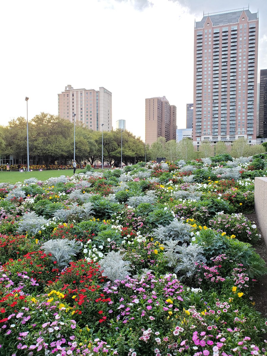 ItsJustAlexCoop's tweet image. Exploring downtown Houston a little bit before #HPReinvent19. This green space is fantastic.
